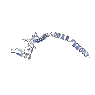 4302_6ft6_u_v1-3
Structure of the Nop53 pre-60S particle bound to the exosome nuclear cofactors