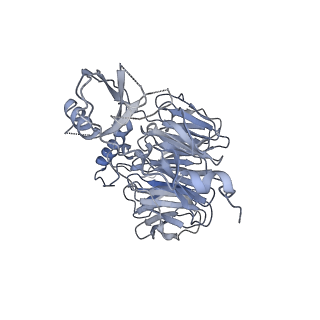 4302_6ft6_x_v1-3
Structure of the Nop53 pre-60S particle bound to the exosome nuclear cofactors