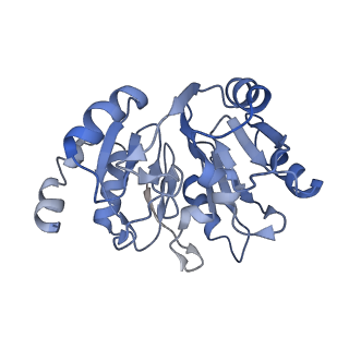 4302_6ft6_y_v1-3
Structure of the Nop53 pre-60S particle bound to the exosome nuclear cofactors