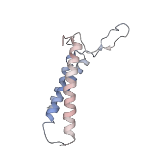 4316_6fti_3_v1-0
Cryo-EM Structure of the Mammalian Oligosaccharyltransferase Bound to Sec61 and the Programmed 80S Ribosome