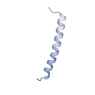 4316_6fti_4_v1-0
Cryo-EM Structure of the Mammalian Oligosaccharyltransferase Bound to Sec61 and the Programmed 80S Ribosome