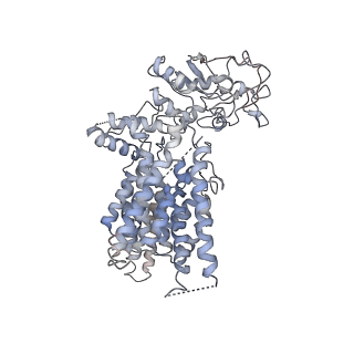4316_6fti_5_v1-0
Cryo-EM Structure of the Mammalian Oligosaccharyltransferase Bound to Sec61 and the Programmed 80S Ribosome