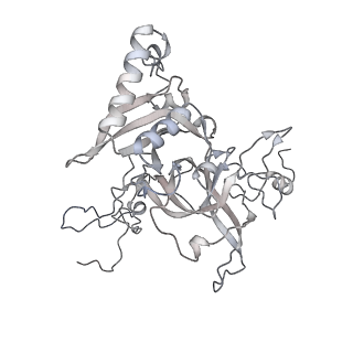 4316_6fti_B_v1-0
Cryo-EM Structure of the Mammalian Oligosaccharyltransferase Bound to Sec61 and the Programmed 80S Ribosome