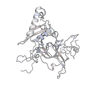 4316_6fti_B_v3-0
Cryo-EM Structure of the Mammalian Oligosaccharyltransferase Bound to Sec61 and the Programmed 80S Ribosome