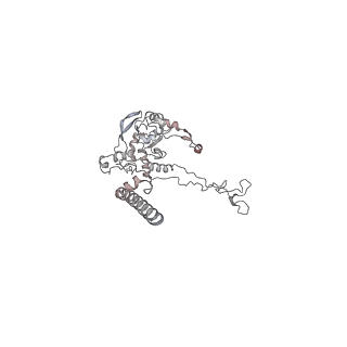 4316_6fti_C_v1-0
Cryo-EM Structure of the Mammalian Oligosaccharyltransferase Bound to Sec61 and the Programmed 80S Ribosome