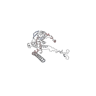 4316_6fti_C_v2-4
Cryo-EM Structure of the Mammalian Oligosaccharyltransferase Bound to Sec61 and the Programmed 80S Ribosome