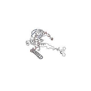 4316_6fti_C_v3-0
Cryo-EM Structure of the Mammalian Oligosaccharyltransferase Bound to Sec61 and the Programmed 80S Ribosome