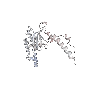 4316_6fti_D_v1-0
Cryo-EM Structure of the Mammalian Oligosaccharyltransferase Bound to Sec61 and the Programmed 80S Ribosome