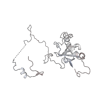 4316_6fti_E_v1-0
Cryo-EM Structure of the Mammalian Oligosaccharyltransferase Bound to Sec61 and the Programmed 80S Ribosome