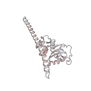 4316_6fti_F_v1-0
Cryo-EM Structure of the Mammalian Oligosaccharyltransferase Bound to Sec61 and the Programmed 80S Ribosome