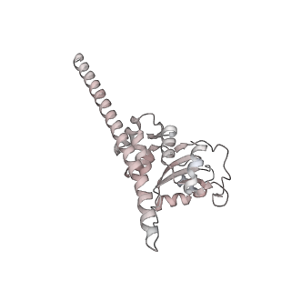 4316_6fti_F_v2-4
Cryo-EM Structure of the Mammalian Oligosaccharyltransferase Bound to Sec61 and the Programmed 80S Ribosome