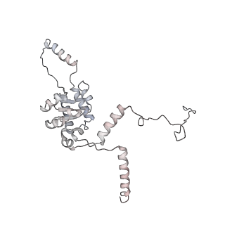 4316_6fti_G_v1-0
Cryo-EM Structure of the Mammalian Oligosaccharyltransferase Bound to Sec61 and the Programmed 80S Ribosome