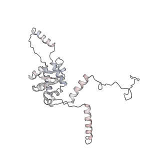4316_6fti_G_v3-0
Cryo-EM Structure of the Mammalian Oligosaccharyltransferase Bound to Sec61 and the Programmed 80S Ribosome