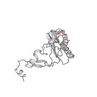 4316_6fti_I_v1-0
Cryo-EM Structure of the Mammalian Oligosaccharyltransferase Bound to Sec61 and the Programmed 80S Ribosome