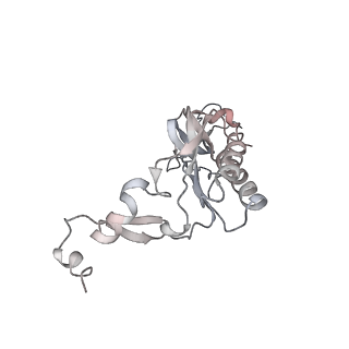 4316_6fti_I_v2-4
Cryo-EM Structure of the Mammalian Oligosaccharyltransferase Bound to Sec61 and the Programmed 80S Ribosome