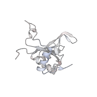4316_6fti_J_v2-4
Cryo-EM Structure of the Mammalian Oligosaccharyltransferase Bound to Sec61 and the Programmed 80S Ribosome