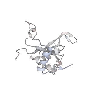 4316_6fti_J_v3-0
Cryo-EM Structure of the Mammalian Oligosaccharyltransferase Bound to Sec61 and the Programmed 80S Ribosome