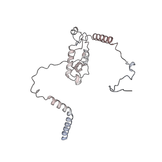4316_6fti_L_v1-0
Cryo-EM Structure of the Mammalian Oligosaccharyltransferase Bound to Sec61 and the Programmed 80S Ribosome