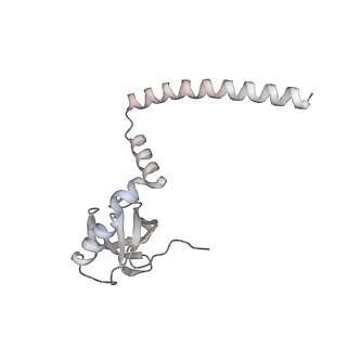 4316_6fti_M_v1-0
Cryo-EM Structure of the Mammalian Oligosaccharyltransferase Bound to Sec61 and the Programmed 80S Ribosome