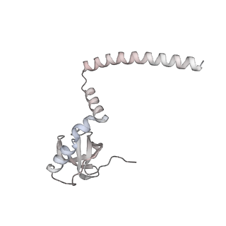 4316_6fti_M_v3-0
Cryo-EM Structure of the Mammalian Oligosaccharyltransferase Bound to Sec61 and the Programmed 80S Ribosome