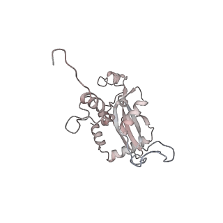 4316_6fti_N_v1-0
Cryo-EM Structure of the Mammalian Oligosaccharyltransferase Bound to Sec61 and the Programmed 80S Ribosome