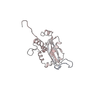4316_6fti_N_v2-4
Cryo-EM Structure of the Mammalian Oligosaccharyltransferase Bound to Sec61 and the Programmed 80S Ribosome