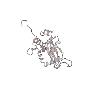4316_6fti_N_v3-0
Cryo-EM Structure of the Mammalian Oligosaccharyltransferase Bound to Sec61 and the Programmed 80S Ribosome