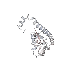 4316_6fti_O_v2-4
Cryo-EM Structure of the Mammalian Oligosaccharyltransferase Bound to Sec61 and the Programmed 80S Ribosome