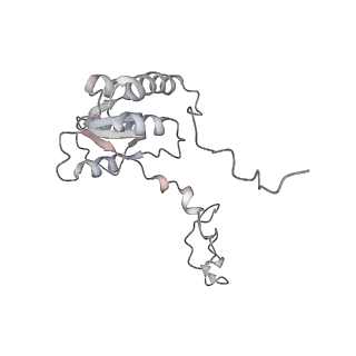 4316_6fti_Q_v1-0
Cryo-EM Structure of the Mammalian Oligosaccharyltransferase Bound to Sec61 and the Programmed 80S Ribosome