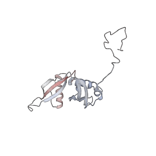 4316_6fti_S_v1-0
Cryo-EM Structure of the Mammalian Oligosaccharyltransferase Bound to Sec61 and the Programmed 80S Ribosome