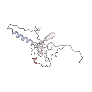 4316_6fti_T_v1-0
Cryo-EM Structure of the Mammalian Oligosaccharyltransferase Bound to Sec61 and the Programmed 80S Ribosome