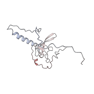 4316_6fti_T_v3-0
Cryo-EM Structure of the Mammalian Oligosaccharyltransferase Bound to Sec61 and the Programmed 80S Ribosome