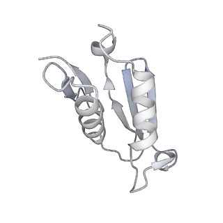 4316_6fti_U_v1-0
Cryo-EM Structure of the Mammalian Oligosaccharyltransferase Bound to Sec61 and the Programmed 80S Ribosome