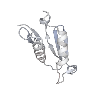 4316_6fti_U_v2-4
Cryo-EM Structure of the Mammalian Oligosaccharyltransferase Bound to Sec61 and the Programmed 80S Ribosome