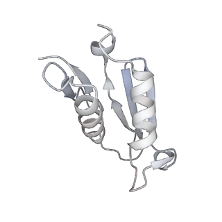 4316_6fti_U_v3-0
Cryo-EM Structure of the Mammalian Oligosaccharyltransferase Bound to Sec61 and the Programmed 80S Ribosome