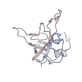 4316_6fti_V_v1-0
Cryo-EM Structure of the Mammalian Oligosaccharyltransferase Bound to Sec61 and the Programmed 80S Ribosome