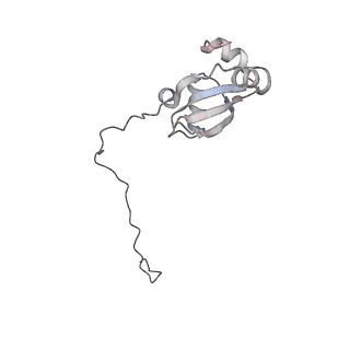 4316_6fti_X_v1-0
Cryo-EM Structure of the Mammalian Oligosaccharyltransferase Bound to Sec61 and the Programmed 80S Ribosome