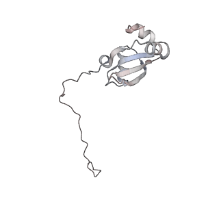 4316_6fti_X_v2-4
Cryo-EM Structure of the Mammalian Oligosaccharyltransferase Bound to Sec61 and the Programmed 80S Ribosome