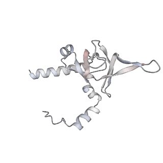 4316_6fti_Y_v2-4
Cryo-EM Structure of the Mammalian Oligosaccharyltransferase Bound to Sec61 and the Programmed 80S Ribosome
