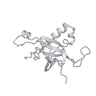4316_6fti_Z_v1-0
Cryo-EM Structure of the Mammalian Oligosaccharyltransferase Bound to Sec61 and the Programmed 80S Ribosome
