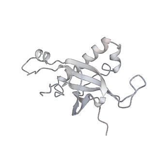 4316_6fti_Z_v3-0
Cryo-EM Structure of the Mammalian Oligosaccharyltransferase Bound to Sec61 and the Programmed 80S Ribosome