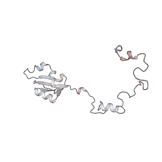 4316_6fti_a_v1-0
Cryo-EM Structure of the Mammalian Oligosaccharyltransferase Bound to Sec61 and the Programmed 80S Ribosome
