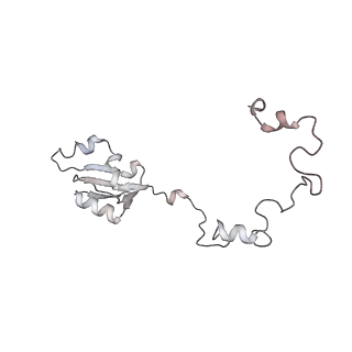 4316_6fti_a_v3-0
Cryo-EM Structure of the Mammalian Oligosaccharyltransferase Bound to Sec61 and the Programmed 80S Ribosome