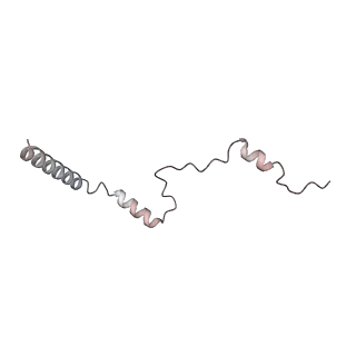 4316_6fti_b_v1-0
Cryo-EM Structure of the Mammalian Oligosaccharyltransferase Bound to Sec61 and the Programmed 80S Ribosome