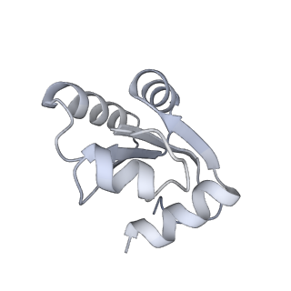 4316_6fti_c_v1-0
Cryo-EM Structure of the Mammalian Oligosaccharyltransferase Bound to Sec61 and the Programmed 80S Ribosome