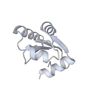 4316_6fti_c_v2-4
Cryo-EM Structure of the Mammalian Oligosaccharyltransferase Bound to Sec61 and the Programmed 80S Ribosome