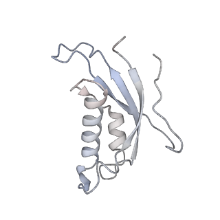 4316_6fti_d_v2-4
Cryo-EM Structure of the Mammalian Oligosaccharyltransferase Bound to Sec61 and the Programmed 80S Ribosome