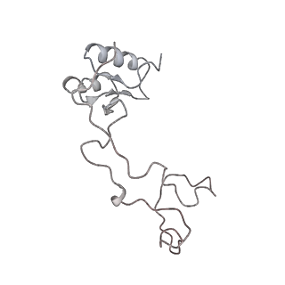 4316_6fti_e_v1-0
Cryo-EM Structure of the Mammalian Oligosaccharyltransferase Bound to Sec61 and the Programmed 80S Ribosome