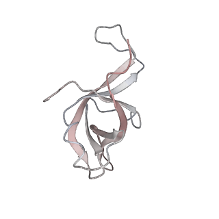 4316_6fti_f_v1-0
Cryo-EM Structure of the Mammalian Oligosaccharyltransferase Bound to Sec61 and the Programmed 80S Ribosome