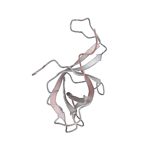 4316_6fti_f_v3-0
Cryo-EM Structure of the Mammalian Oligosaccharyltransferase Bound to Sec61 and the Programmed 80S Ribosome